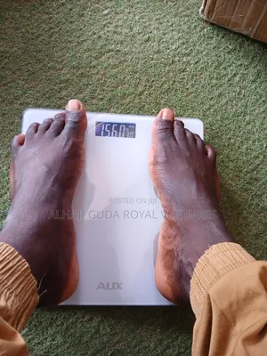 Electric Weight Scale
