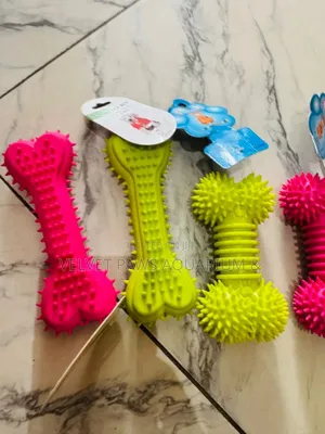 Dog Play Toys
