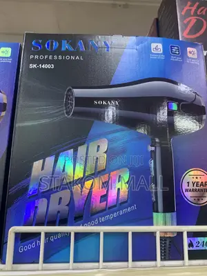 Kemey Hair Dryer 2 In 1