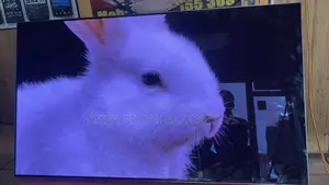 Samsung Oled S90c 2023 Model 55 Inches Smart Tv
