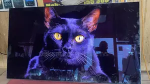 Samsung Oled S90c 2023 Model 55 Inches Smart Tv