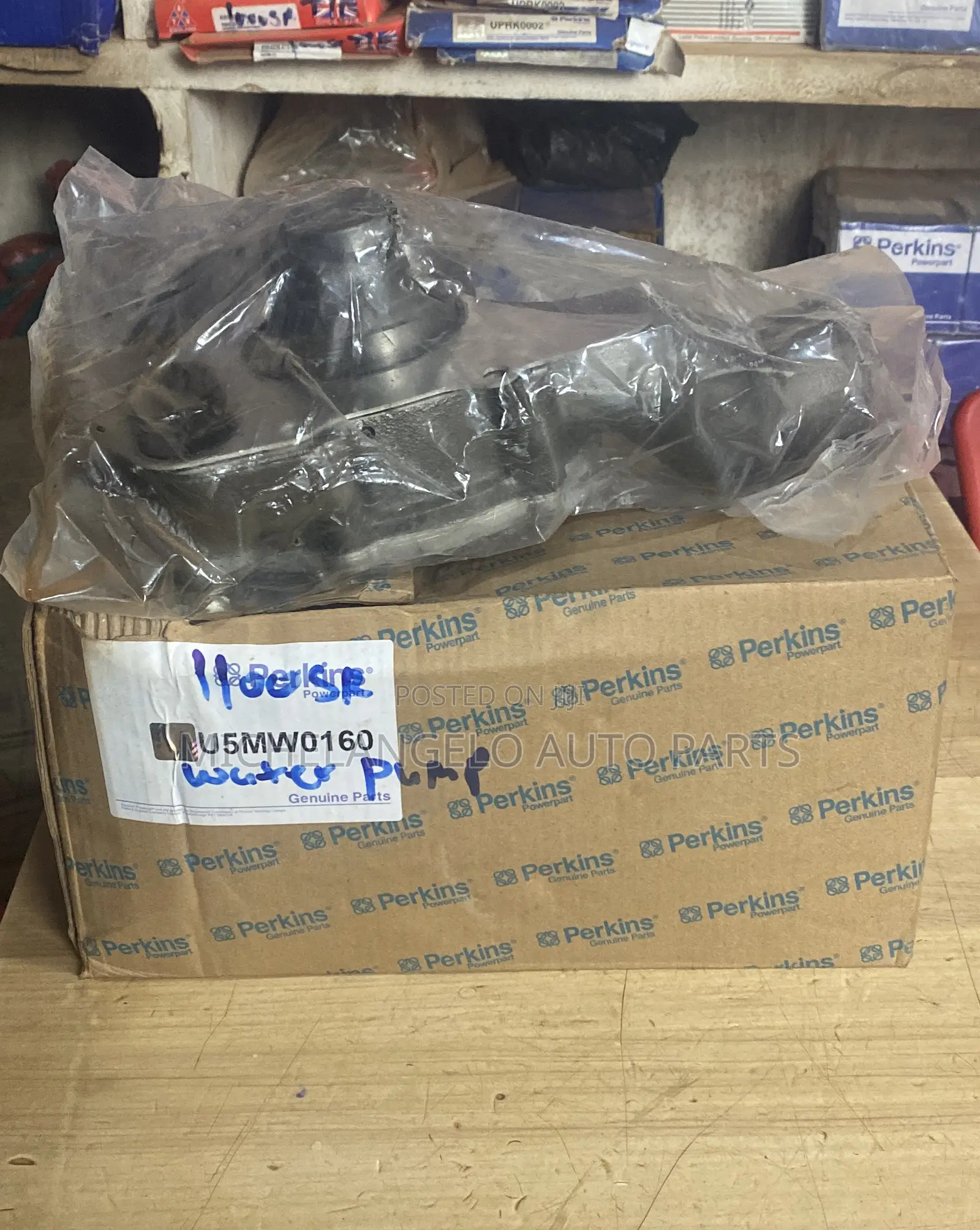 Water Pump Ecoplus 1100 Series