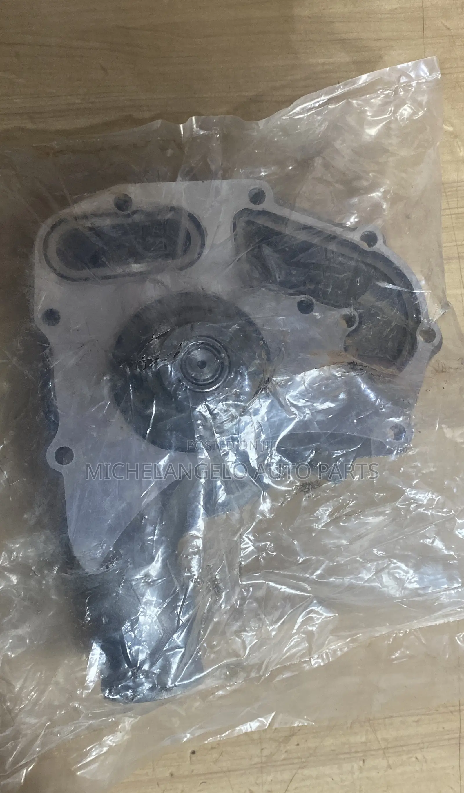 Water Pump Ecoplus 1100 Series