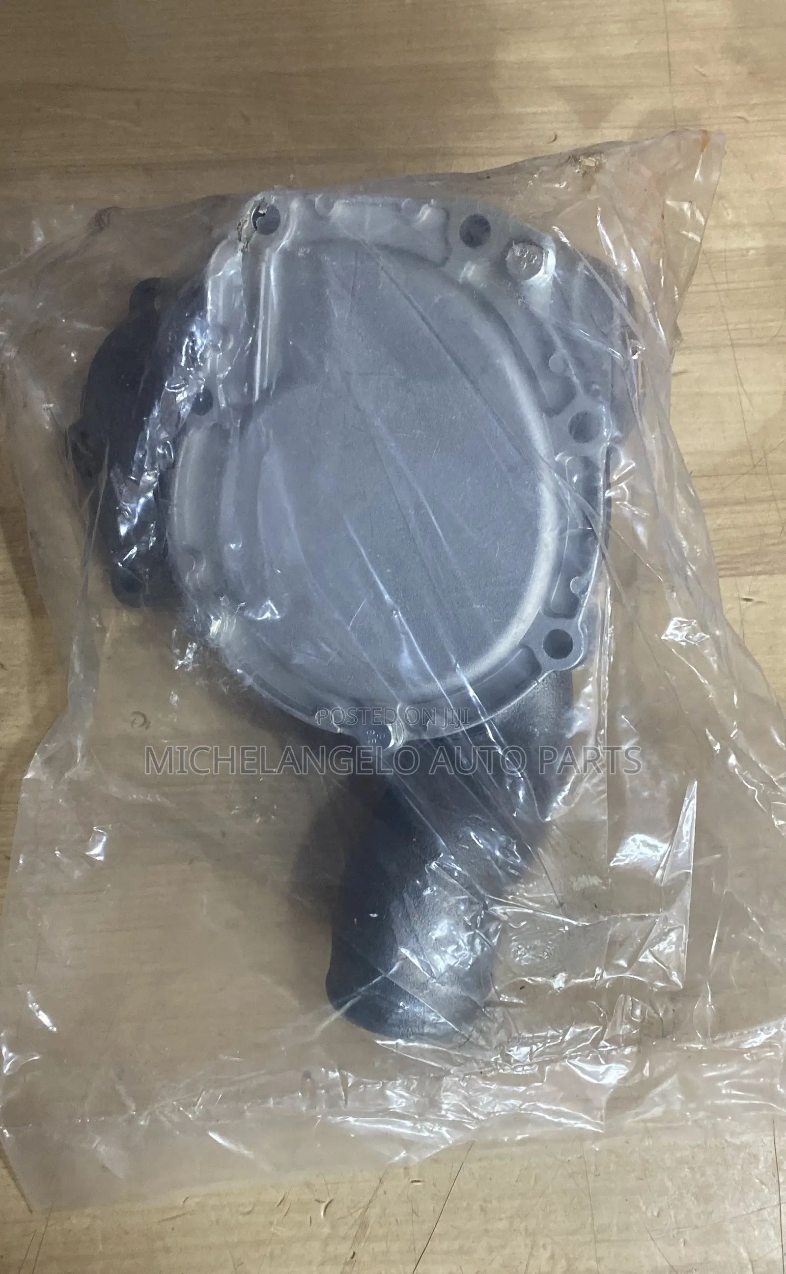 Water Pump Ecoplus 1100 Series