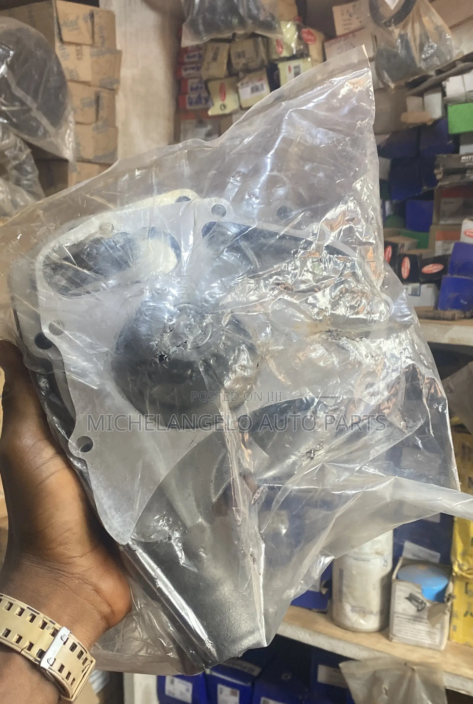 Water Pump Ecoplus 1100 Series