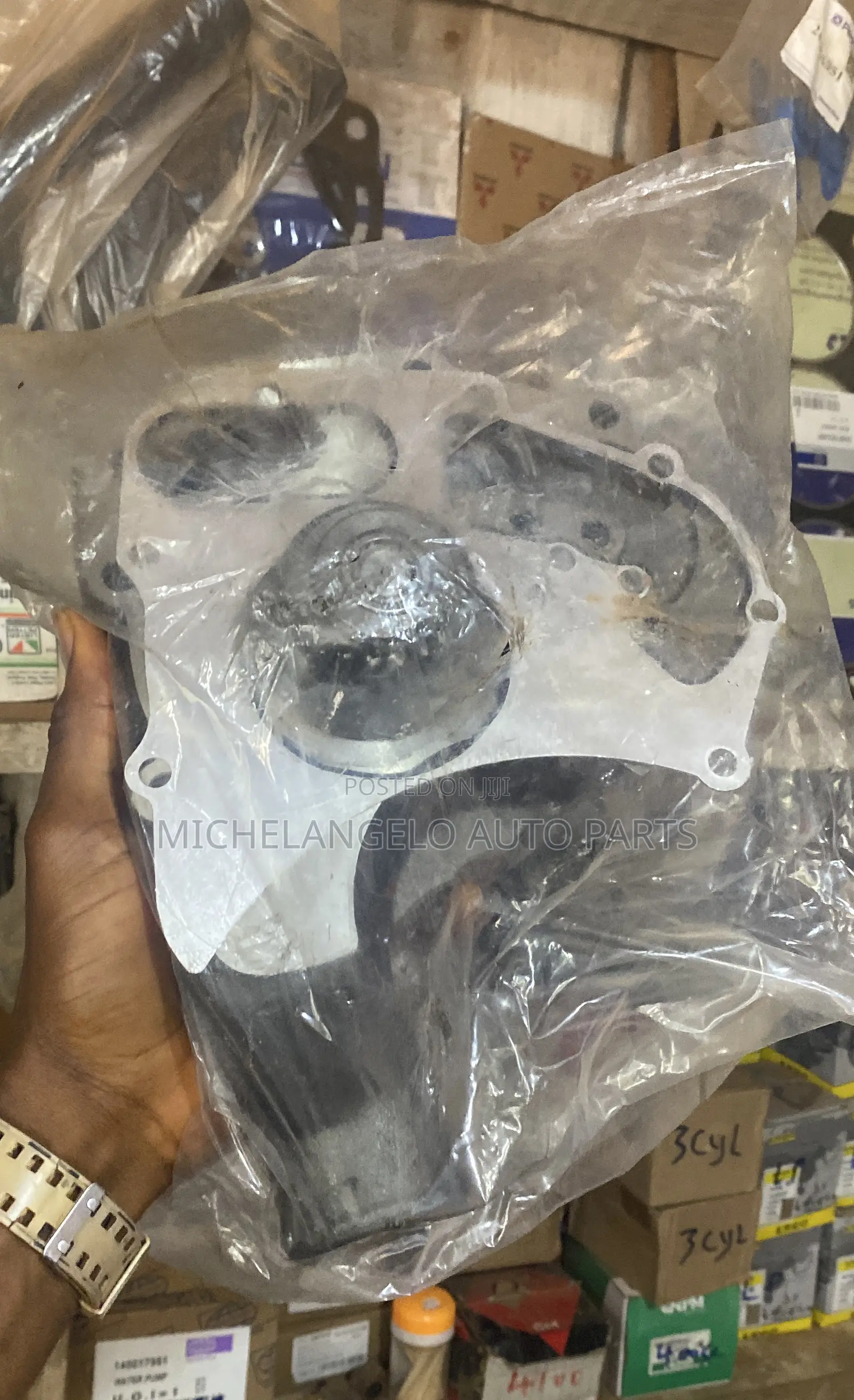 Water Pump Ecoplus 1100 Series