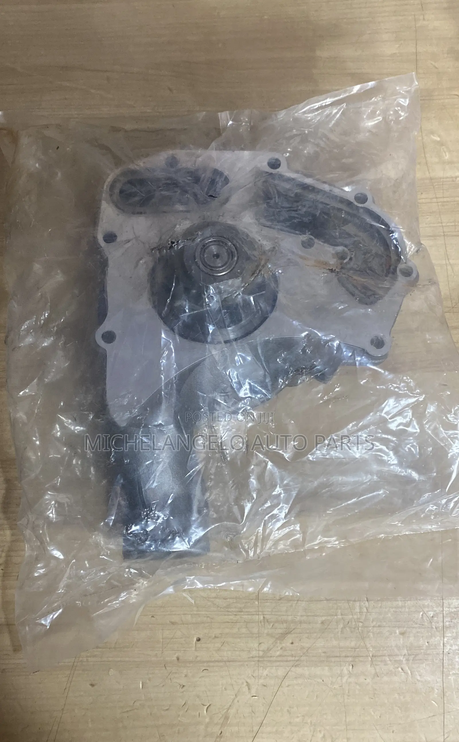 Water Pump Ecoplus 1100 Series