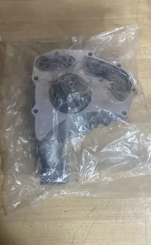 Water Pump Ecoplus 1100 Series