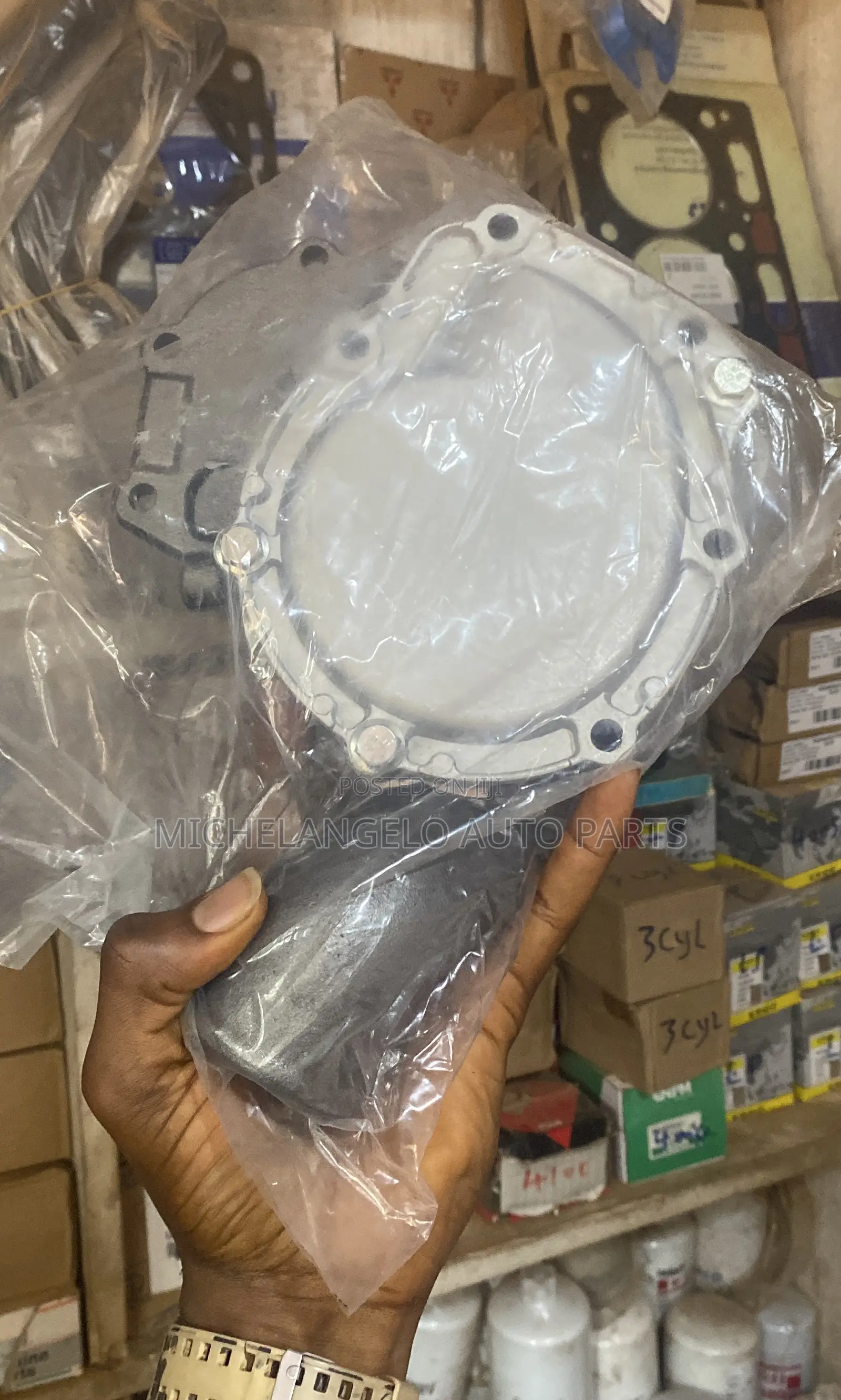 Water Pump Ecoplus 1100 Series