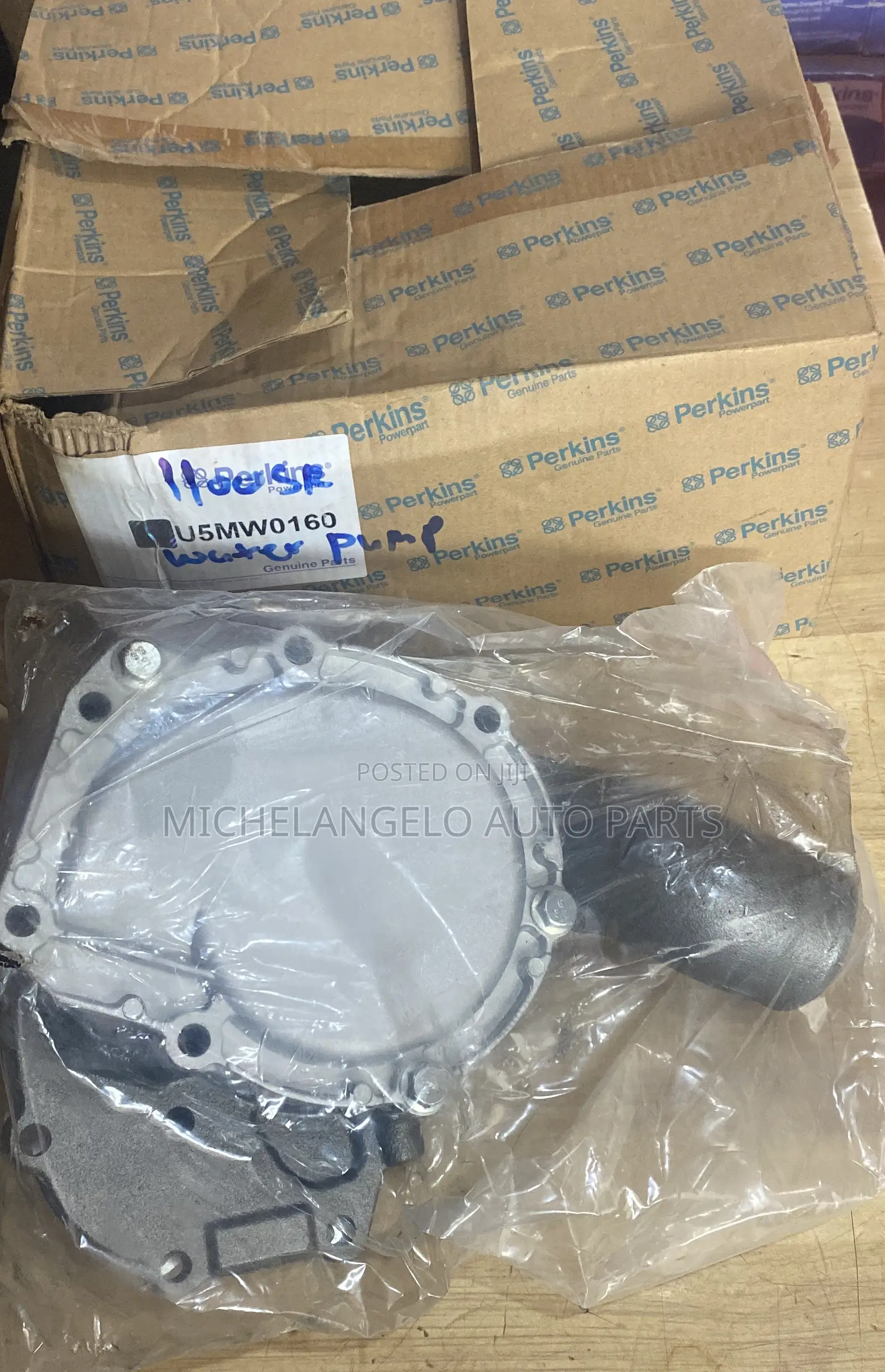 Water Pump Ecoplus 1100 Series