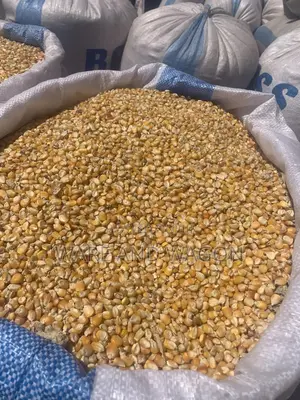 Well Dried Yellow and White Maize [150kg]