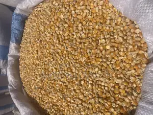 Well Dried Yellow and White Maize [150kg]