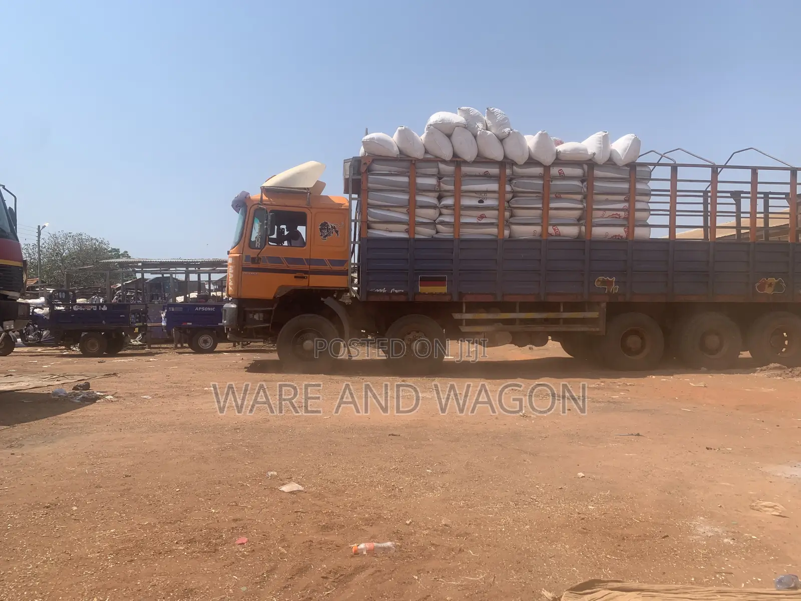 White and Yellow Maize for Sale [50kg and 150kg]