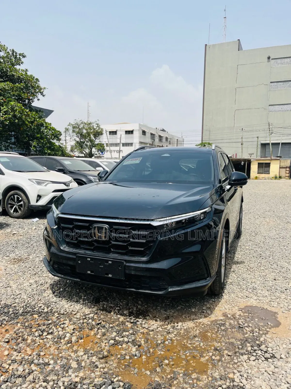 Honda CR-V EX-L AWD 2023 Green