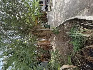 3bdrm House in Skm, US Embassy Area for sale