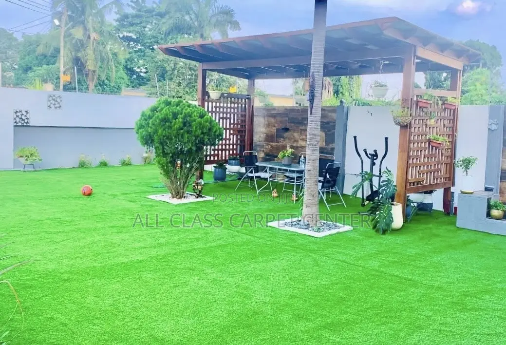 Astro-Turf Carpet
