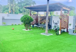 Astro-Turf Carpet