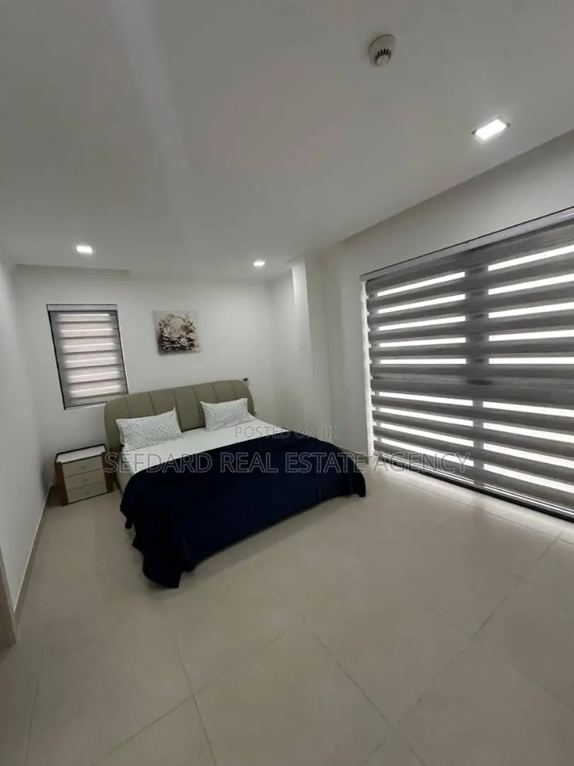 Furnished 2bdrm Apartment in Cantonments for rent