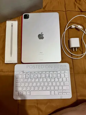 New Apple iPad Pro 256 GB Gray