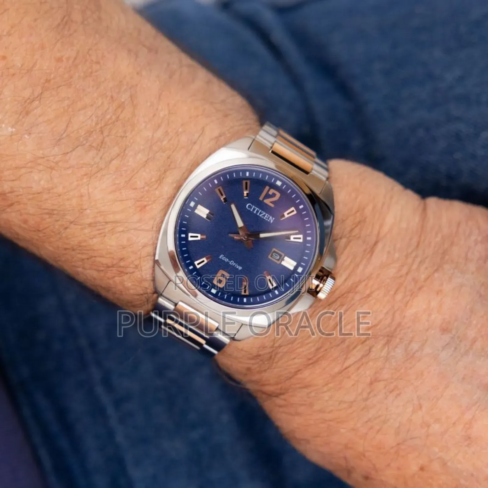 Citizen Eco-drive Aw1726-55l Endicott.