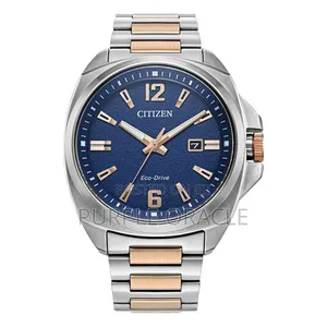 Citizen Eco-drive Aw1726-55l Endicott.