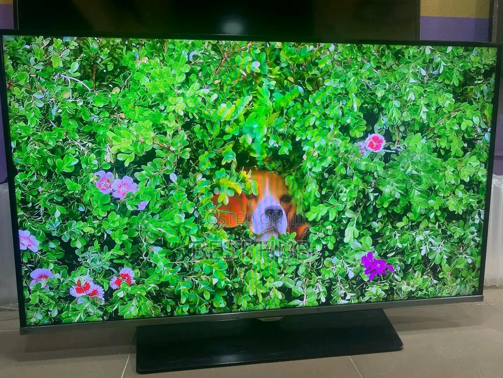 Samsung 55inches Tv