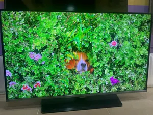 Samsung 55inches Tv