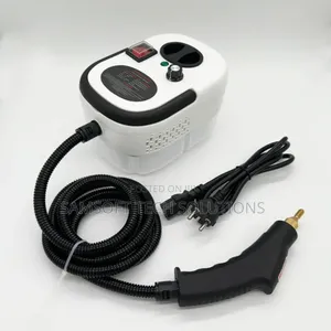 Portable 2500w High Temperature Steam Cleaner Machine