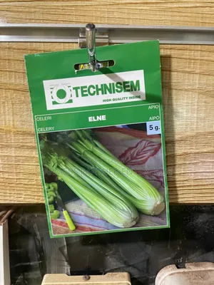 Celery Seeds Elne