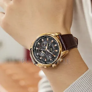 Citizen Eco-drive Radio Controlled Perpetual Men Watch At9123-13e
.
