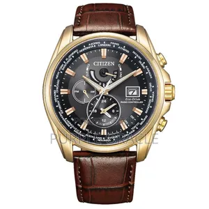 Citizen Eco-drive Radio Controlled Perpetual Men Watch At9123-13e
.