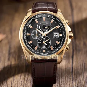 Citizen Eco-drive Radio Controlled Perpetual Men Watch At9123-13e
.