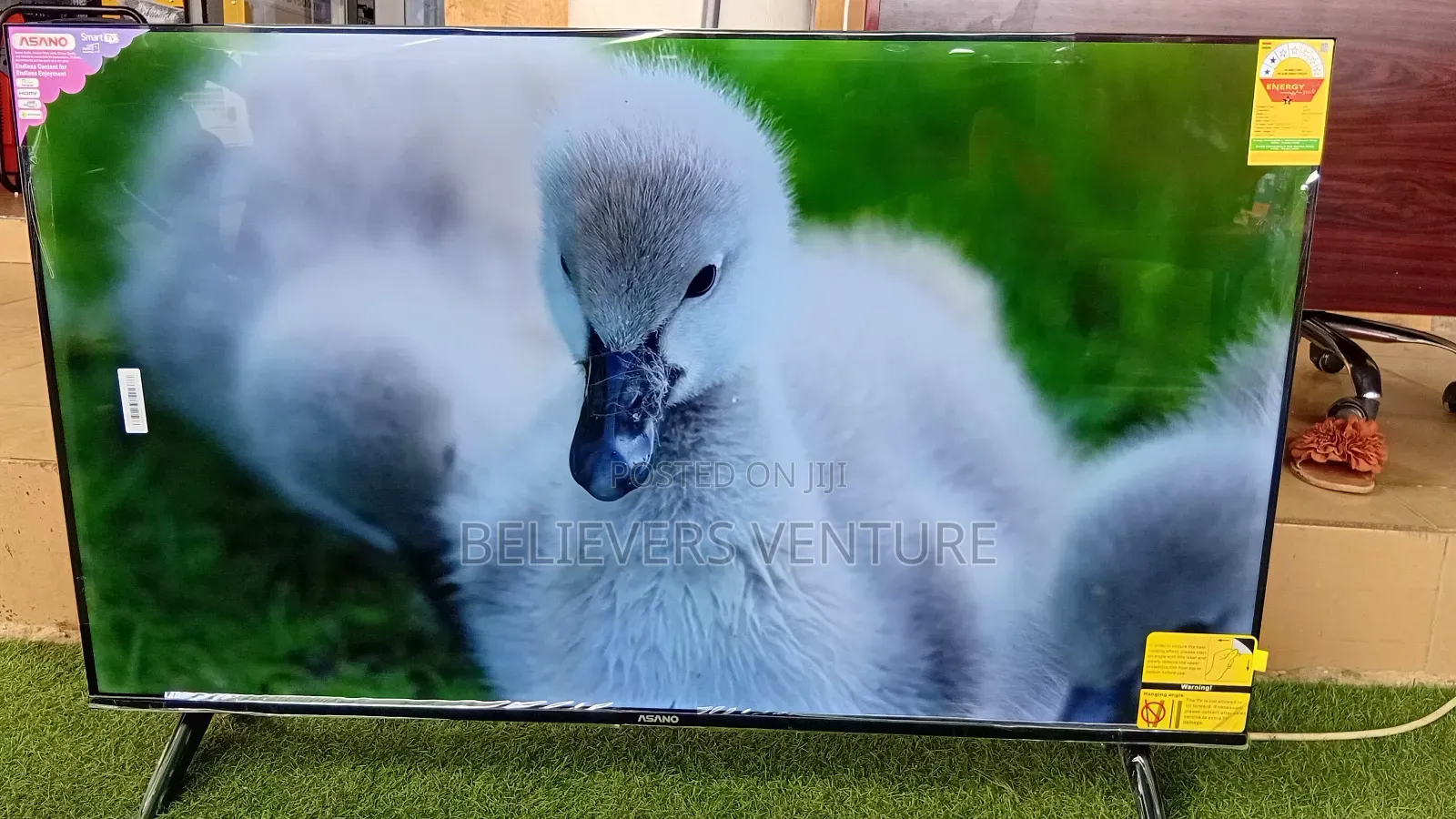 Smart Entertainment Asano 50” Tv Digital Tv