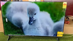 Smart Entertainment Asano 50” Tv Digital Tv