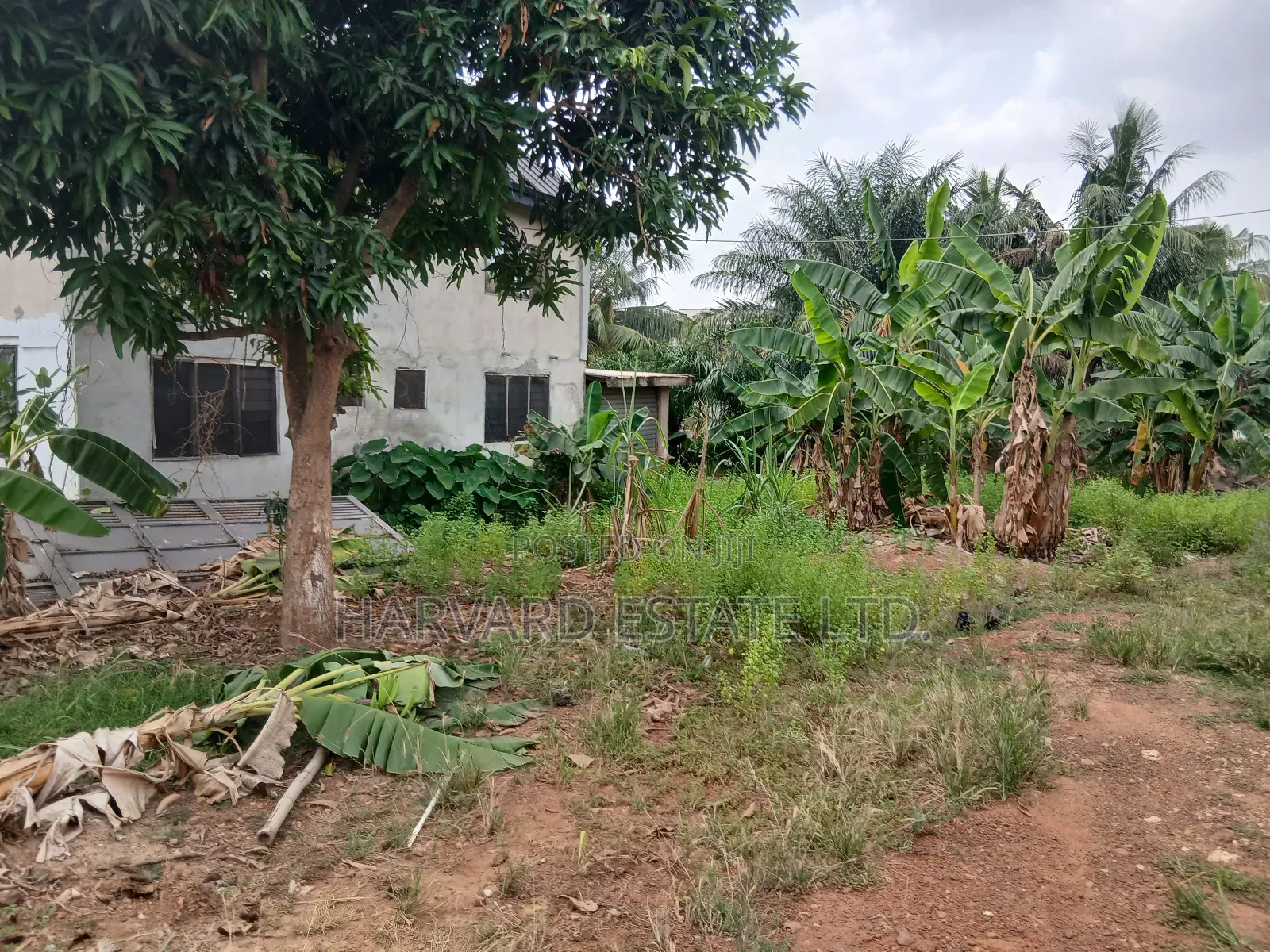 6bdrm House in Tech Boadi Knust, Kumasi Metropolitan for sale