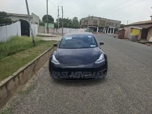 Tesla Model 3 54 kWh Standart Range Plus 2020 Black