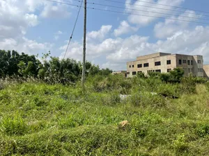 Serviced Plots Available for Sale at Ashalaja