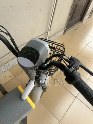 New Royal Motorcycle 2025 Gray