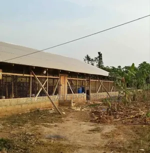 Poultry Farm for Sale at Nfensi ( Kumasi Mankraso Road)
