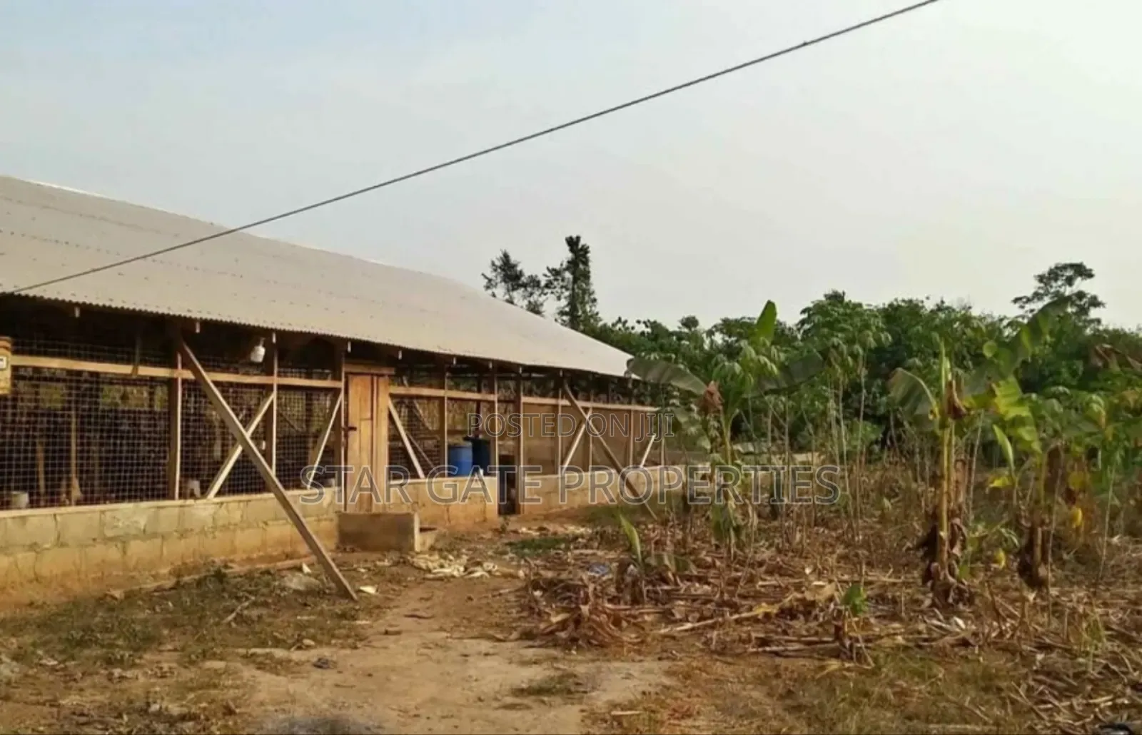 Poultry Farm for Sale at Nfensi ( Kumasi Mankraso Road)