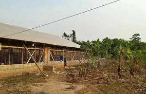 Poultry Farm for Sale at Nfensi ( Kumasi Mankraso Road)