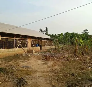 Poultry Farm for Sale at Nfensi ( Kumasi Mankraso Road)