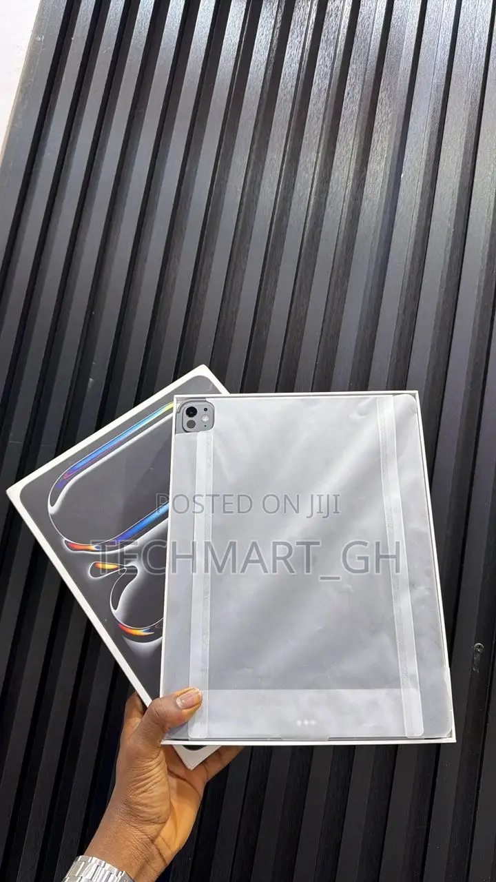 Apple iPad Pro 11 (2024) 256 GB Gray