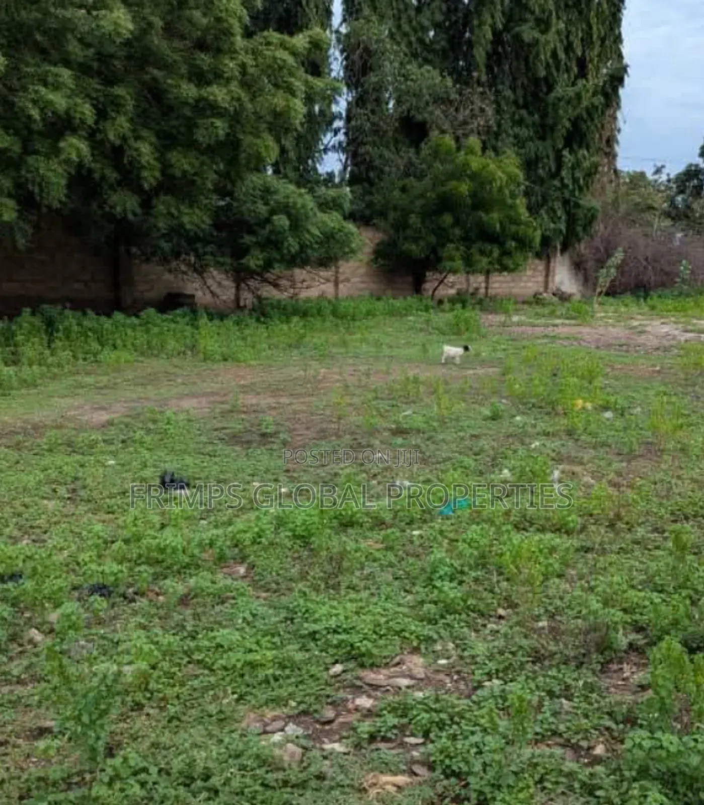 2.15 Acres of Land for Sale in Dzowulu. Aps