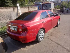 Car Rental