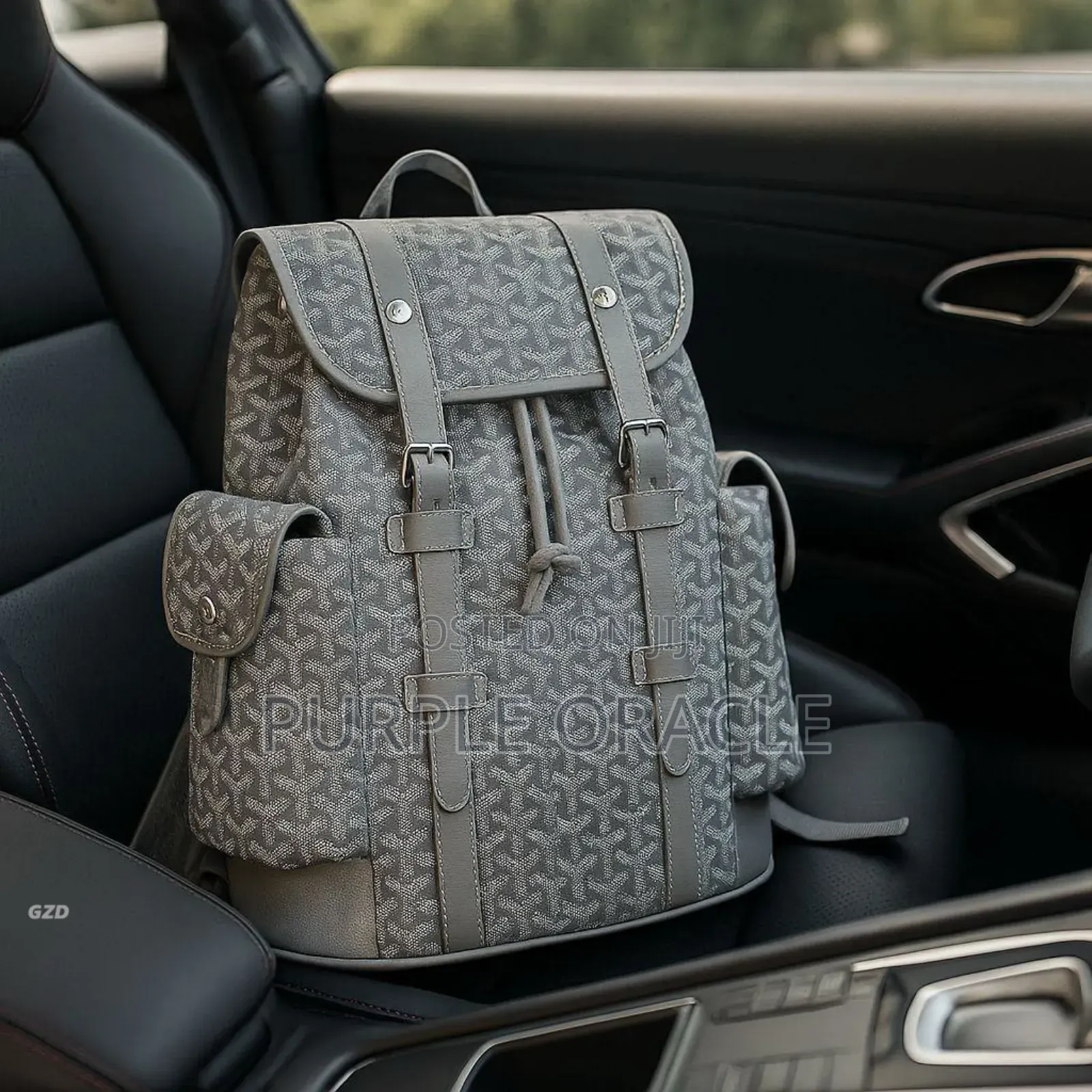 Goyard Genuine Leather Backpack
