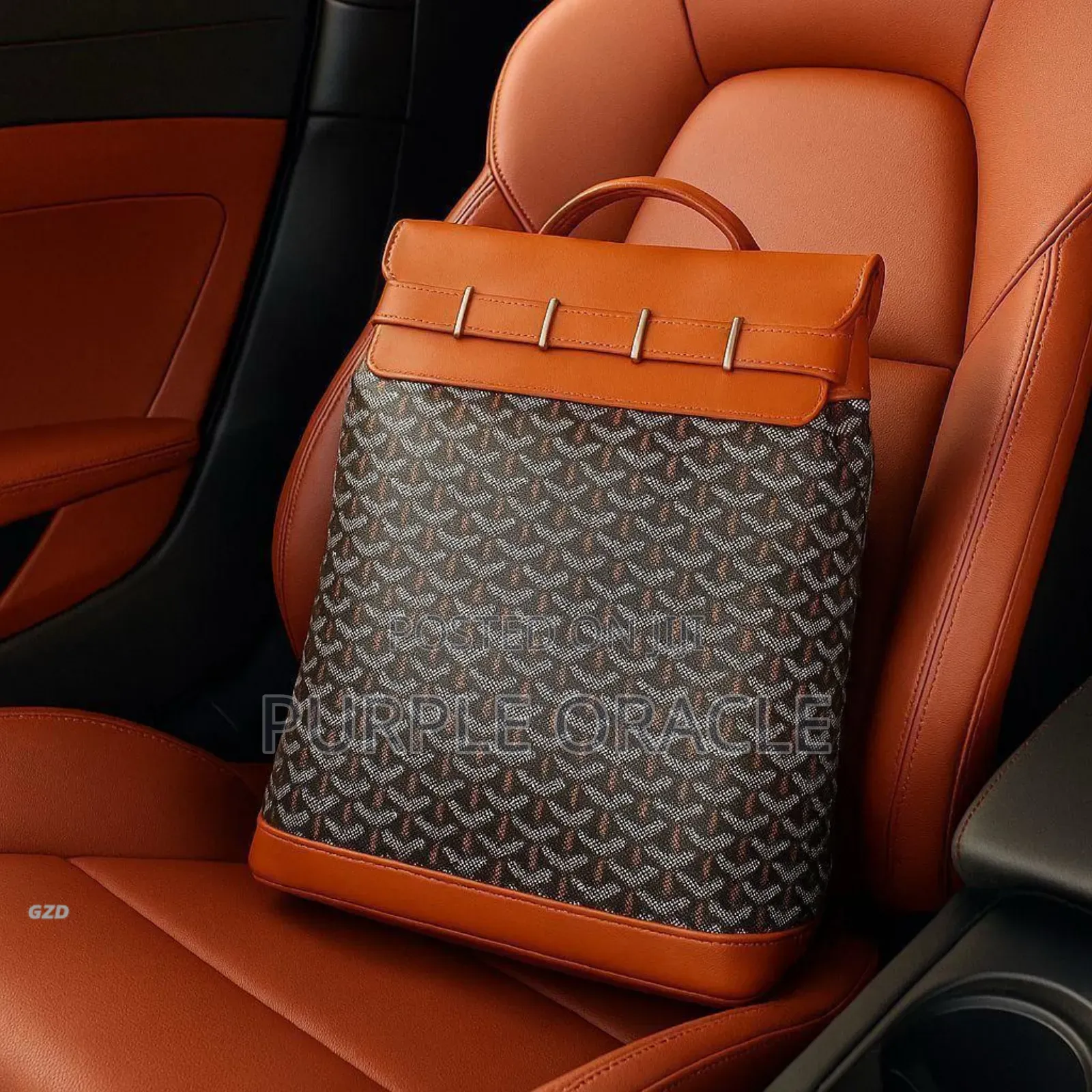 Goyard Backpack in Multi Color