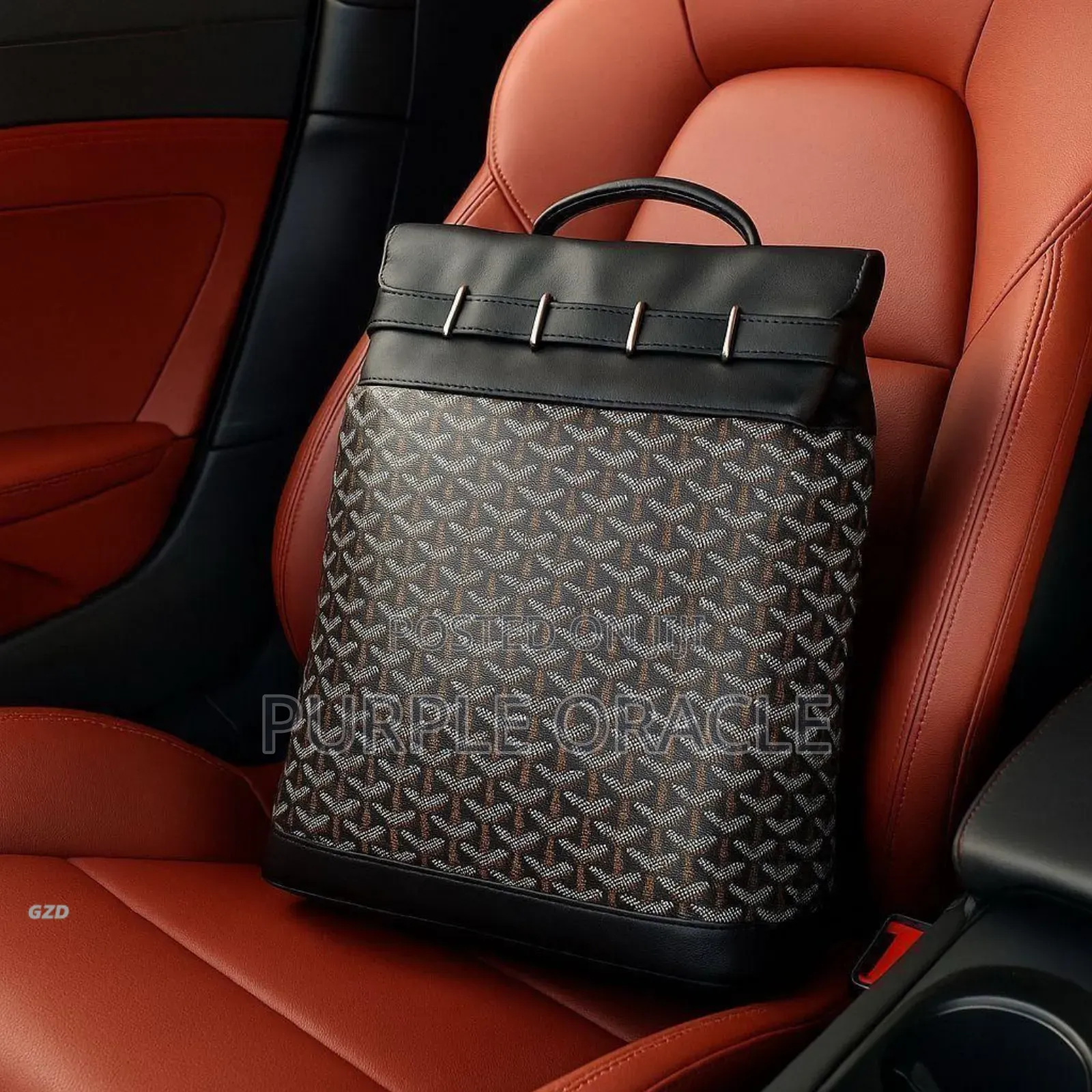 Goyard Backpack in Multi Color