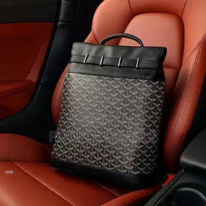 Goyard Backpack in Multi Color