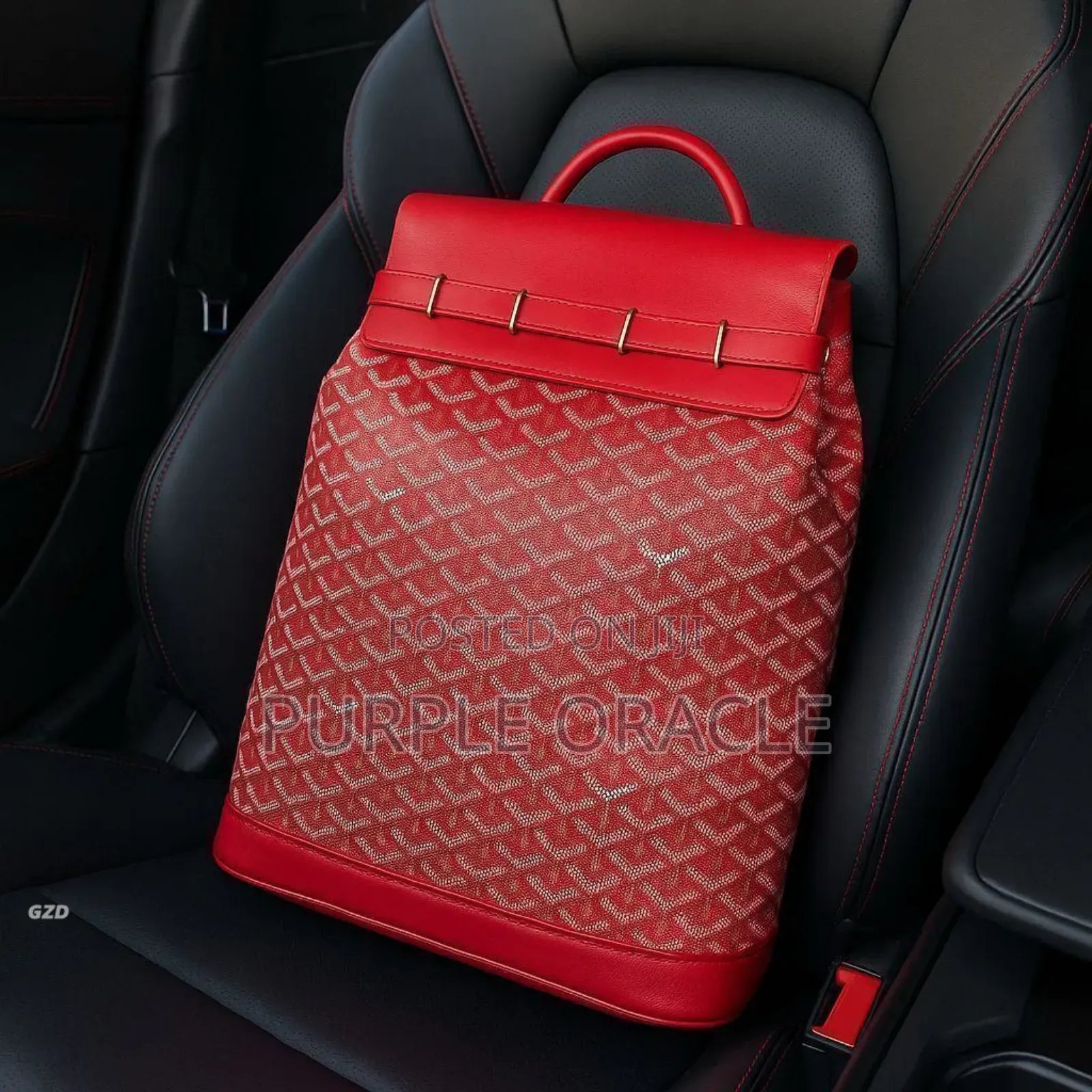 Goyard Backpack in Multi Color